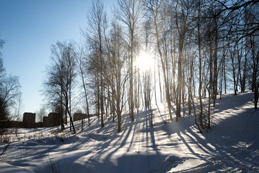 Similar image 21536027