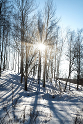 Similar image 21534083