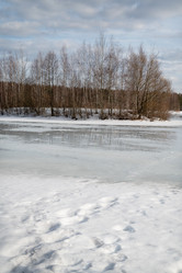 Similar image 21534085