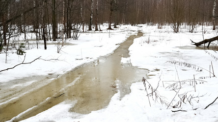 Similar image 21536029