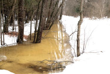 Similar image 21534086