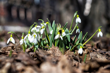 Similar image 21534090