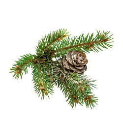 Similar image 21529045