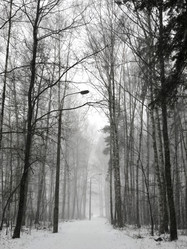 Similar image 21534092