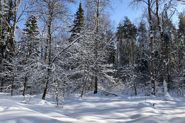 Similar image 21539279