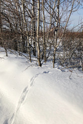 Similar image 21535883