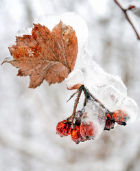 Similar image 21531416