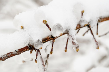 Similar image 21531417