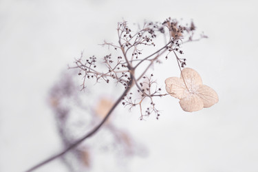 Similar image 21531419