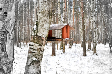 Similar image 21528816