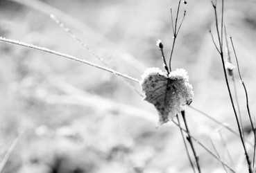 Similar image 21531420