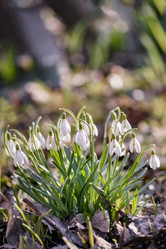 Similar image 21534094