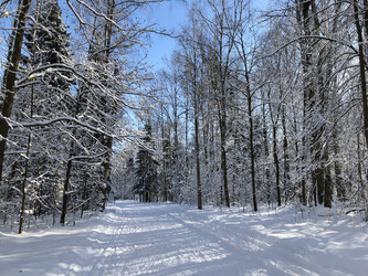 Similar image 21535499