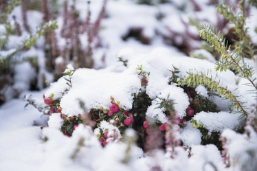 Similar image 21531421