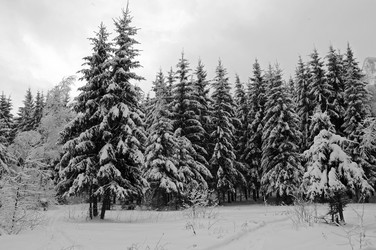 Similar image 21534096