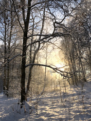 Similar image 21534097