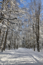 Similar image 21535287