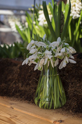 Similar image 21536034