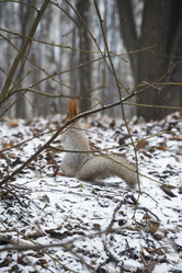 Similar image 21544466