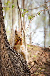 Similar image 21537742