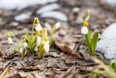 Similar image 21530715