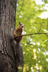 Similar image 21537665