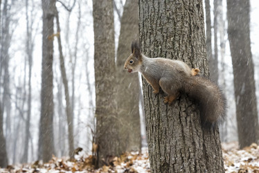 Similar image 21535886