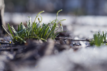 Similar image 21535500