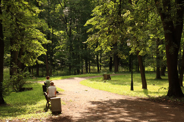 Similar image 21528825