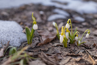 Similar image 21535501