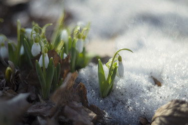 Similar image 21535502