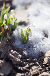 Similar image 21536035