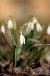 Similar image 21531485