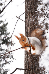 Similar image 21537666