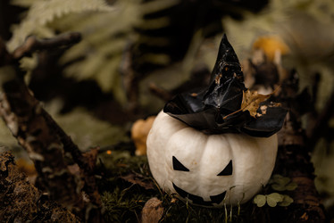 Similar image 21534101