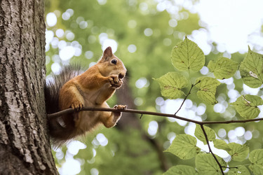 Similar image 21531487