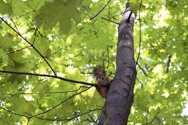 Similar image 21531488