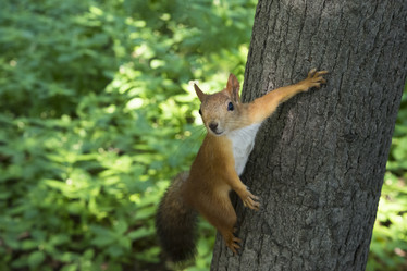 Similar image 21544467