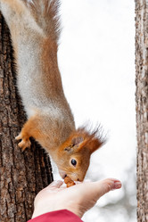 Similar image 21535889