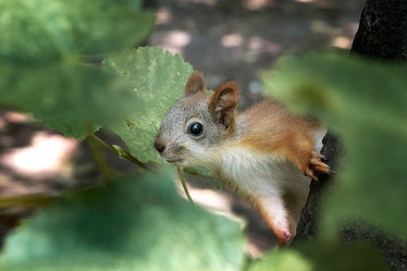 Similar image 21534102