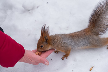 Similar image 21534103