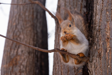 Similar image 21535503