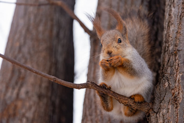 Similar image 21534105