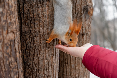 Similar image 21534106