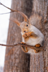 Similar image 21534107