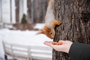 Similar image 21534108