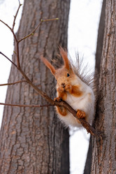 Similar image 21534109