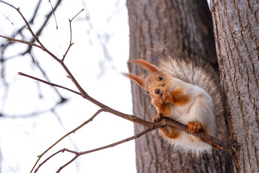 Similar image 21534110