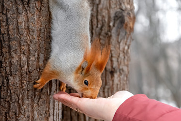 Similar image 21530580