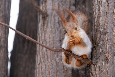 Similar image 21530581